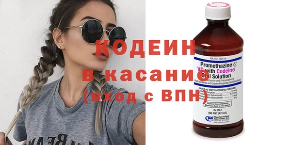 прущие грибы Ладушкин