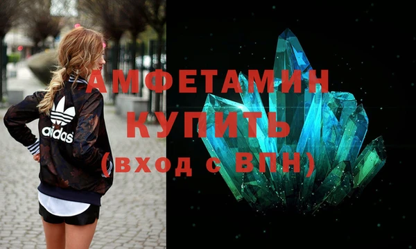 прущие грибы Ладушкин