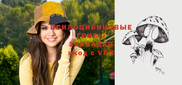 прущие грибы Ладушкин